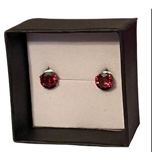 NEW Facetted Gemstone Studded Earrings January Birthstone